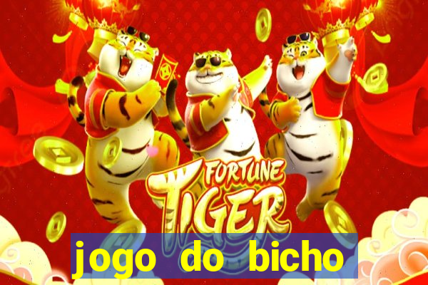 jogo do bicho crash bingo